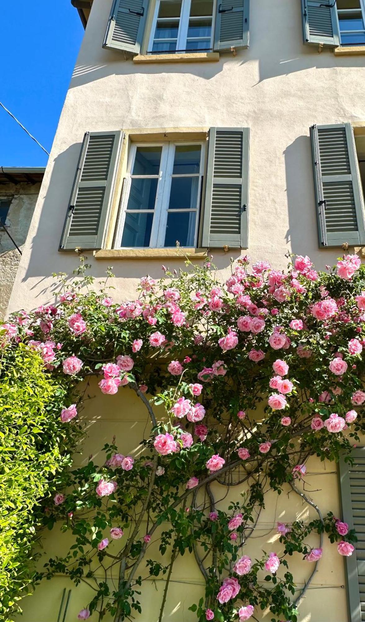 Villa Corti Lakeview 科莫 外观 照片